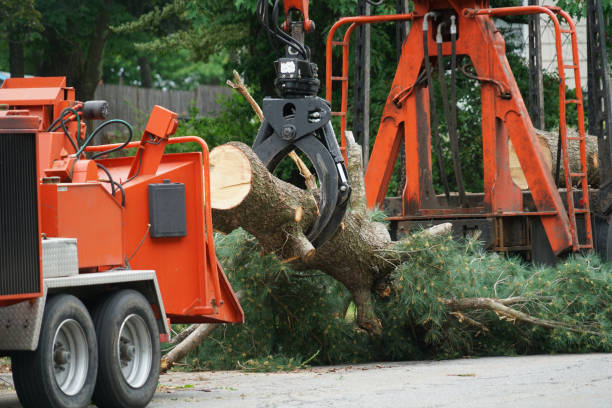 Best Tree Care Services  in Fairless Hills, PA